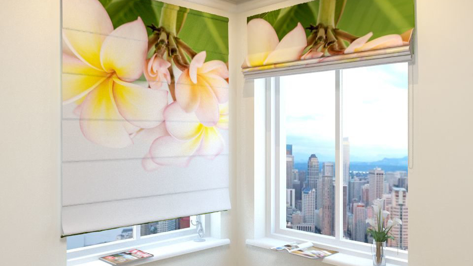 Фото жалюзи